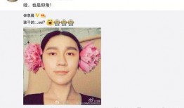 娱乐圈12点爆料的人,揭秘明星背后的真实人生