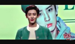 娱乐圈爆料的小说有哪些,从小说到现实的明星风云录