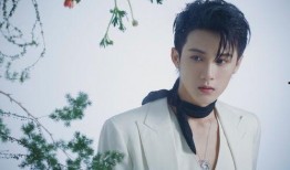 圈内爆料张婧仪吴磊视频,甜蜜瞬间引网友热议